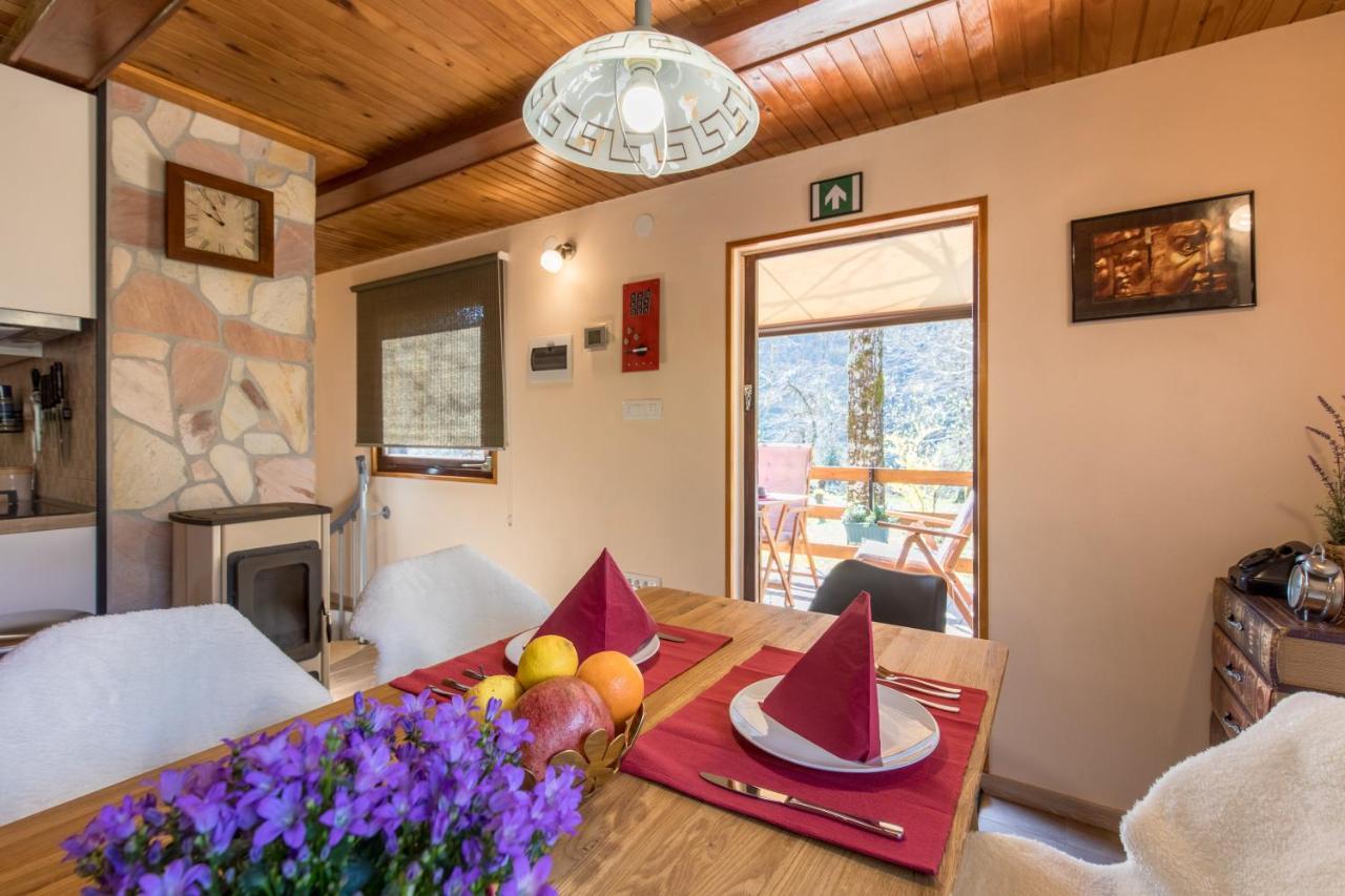 Vila Rozi, Osilnica - Vacation House Pr' Vili Rozi מראה חיצוני תמונה