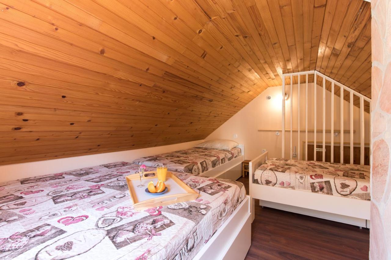 Vila Rozi, Osilnica - Vacation House Pr' Vili Rozi מראה חיצוני תמונה